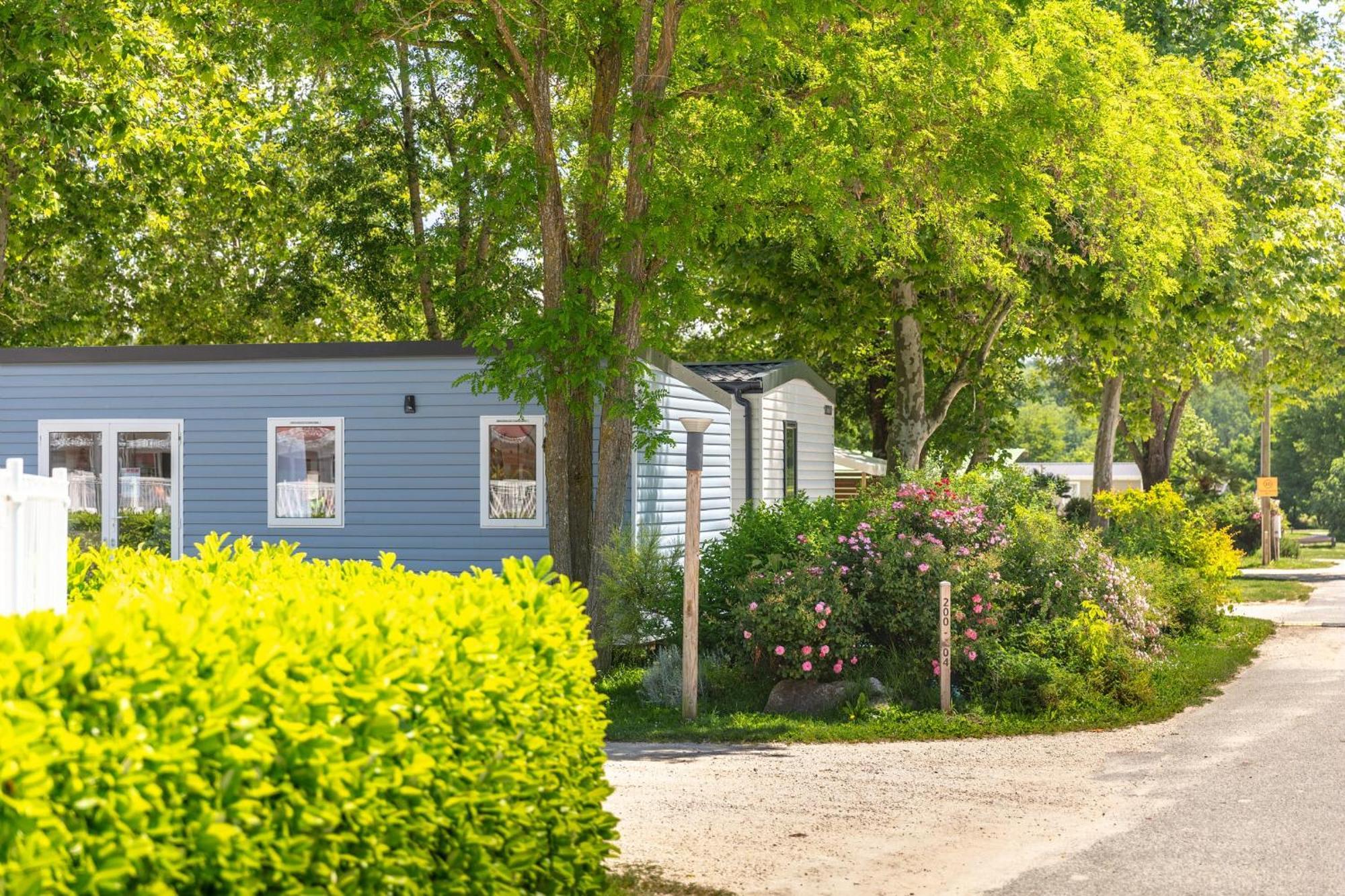 Camping Chateau De Galaure Chateauneuf-de-Galaure المظهر الخارجي الصورة